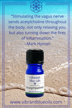 A bottle of vibrant blue oils on sandy beach with a quote by mark hyman: "stimulating the vagus nerve sends acetylcholine throughout the body, not only relaxing you, but also turning down the fires of inflammation." -www.vibrantblueoils.com.